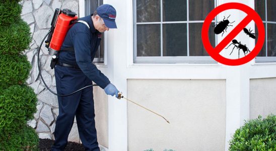 Reşadiye Hamam Böceği İlaçlama böcek ilaçlama ve haşere kontrolü — ilaclama-tr.com